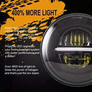 Royal Piston Daymaker Minus 7