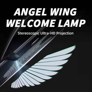 Royal Piston 2024 Car Laser Projector Lights: LED Angel Wings, Door Courtesy Light (Ultra-Clear Quartz)